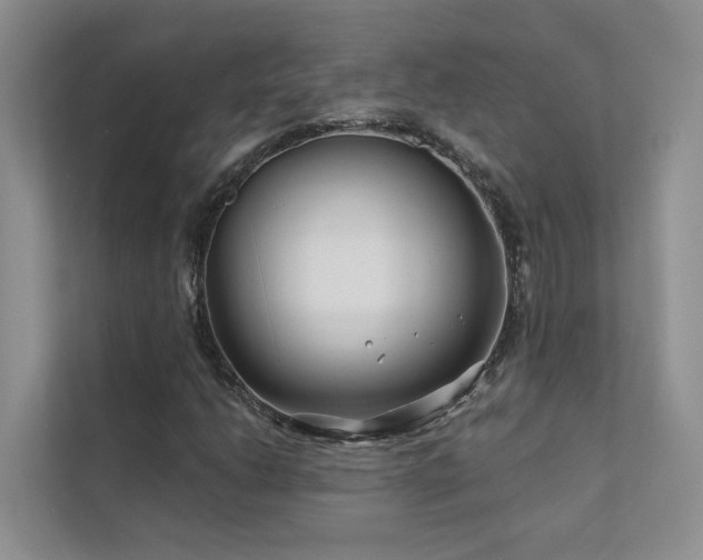 X0000111671206200907171607