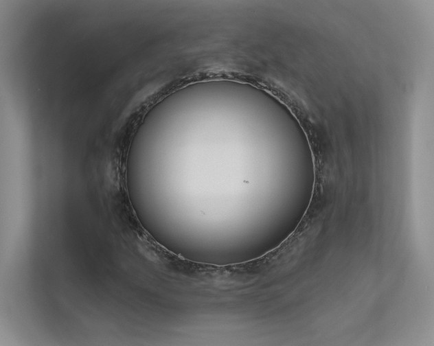 X0000111671207200907171607