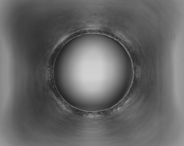 X0000111671208200907171607