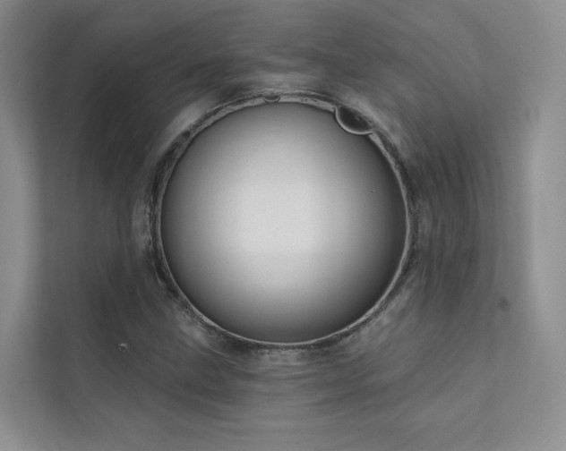 X0000111671211200907171607