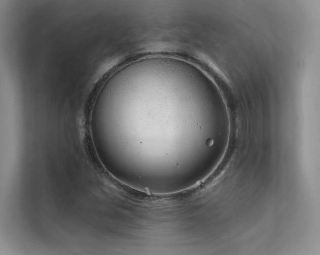 X0000111671213200907171607