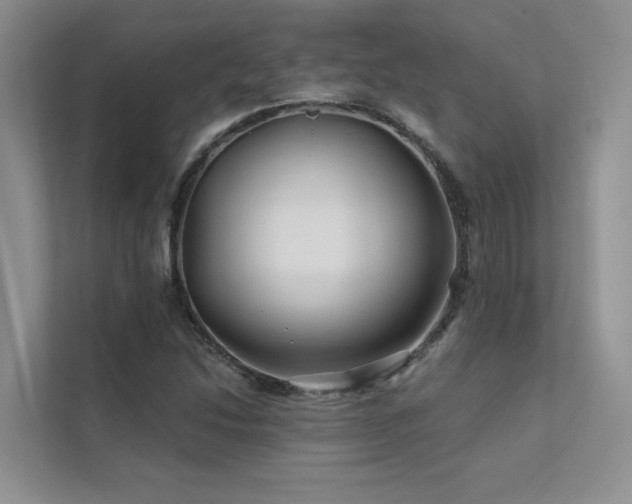 X0000111671214200907171607