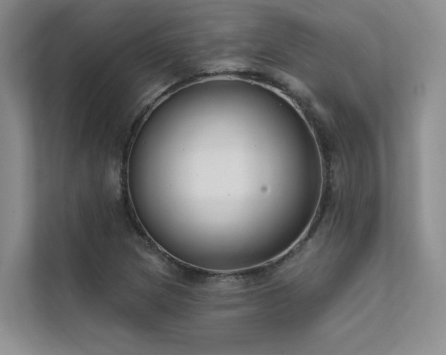 X0000111671217200907171607