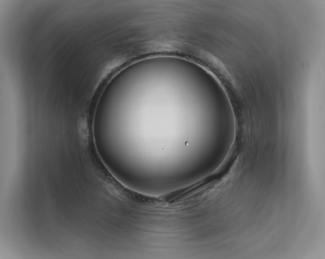 X0000111671218200907171607