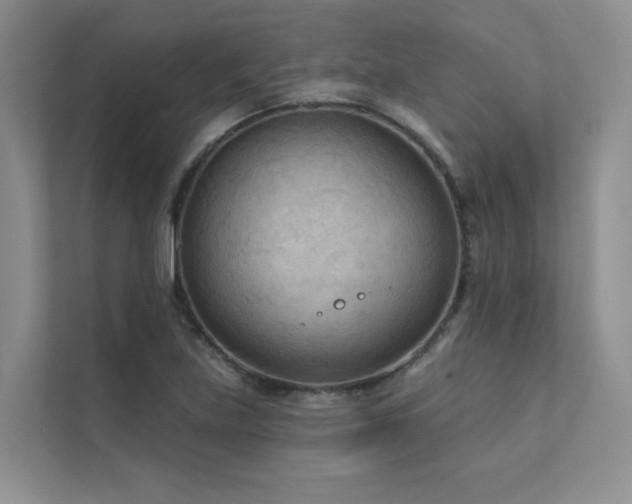 X0000111671219200907171607