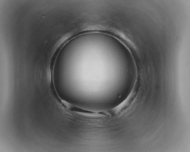 X0000111671221200907171607