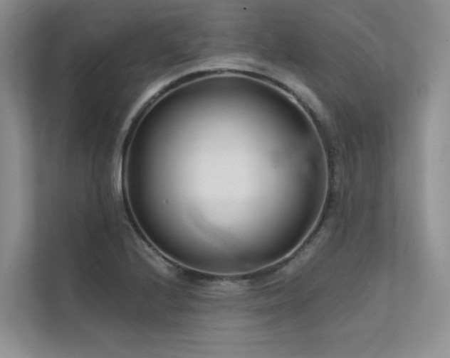 X0000111671224200907171607