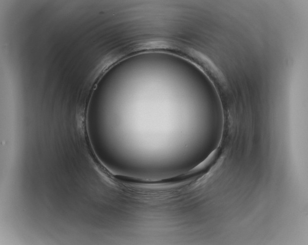 X0000111671225200907171607