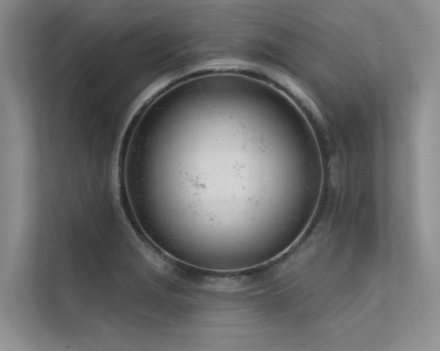 X0000111671229200907171607