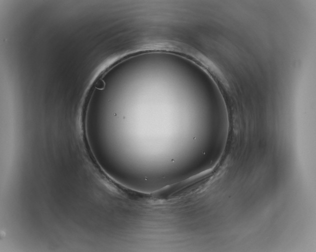 X0000111671230200907171607