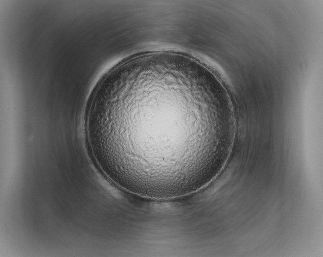 X0000111671231200907171607