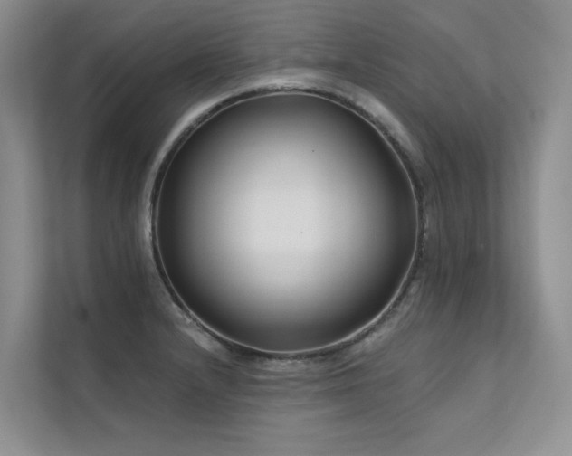 X0000111671232200907171607