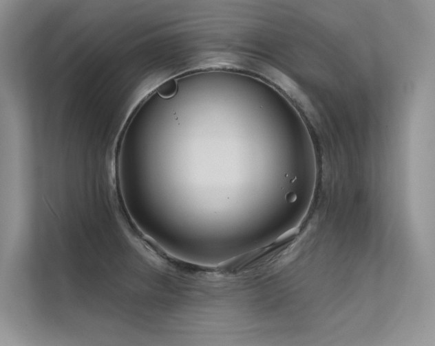 X0000111671234200907171607