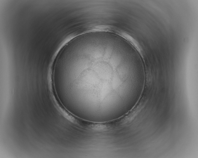 X0000111671235200907171607