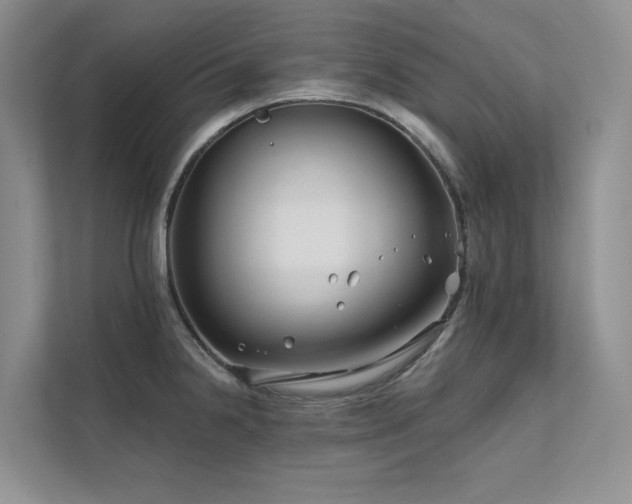 X0000111671238200907171607