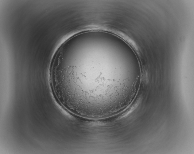 X0000111671239200907171607