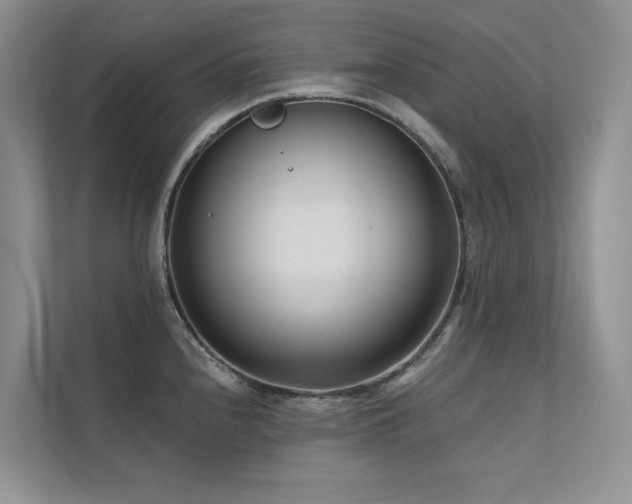 X0000111671240200907171607