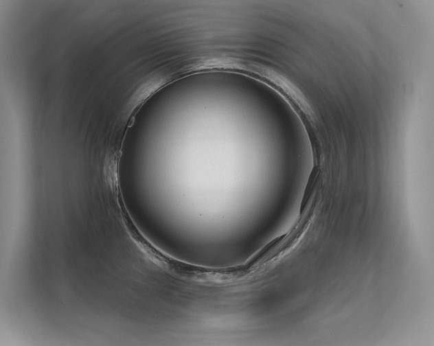 X0000111671241200907171607