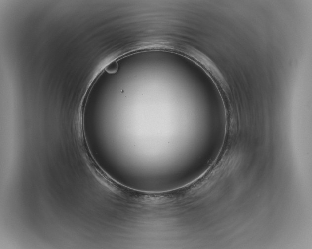 X0000111671242200907171607