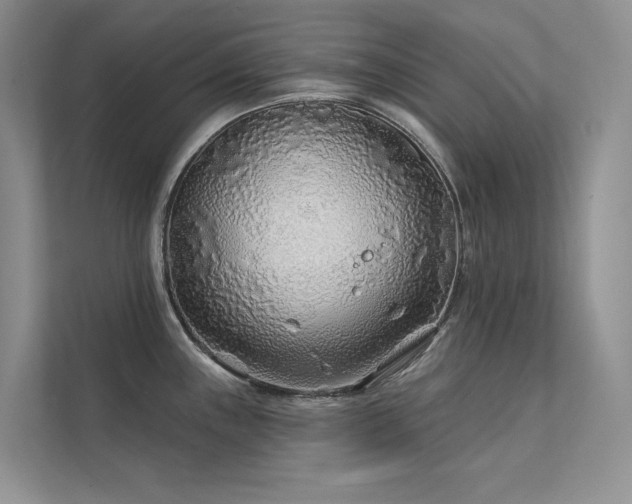 X0000111671243200907171607