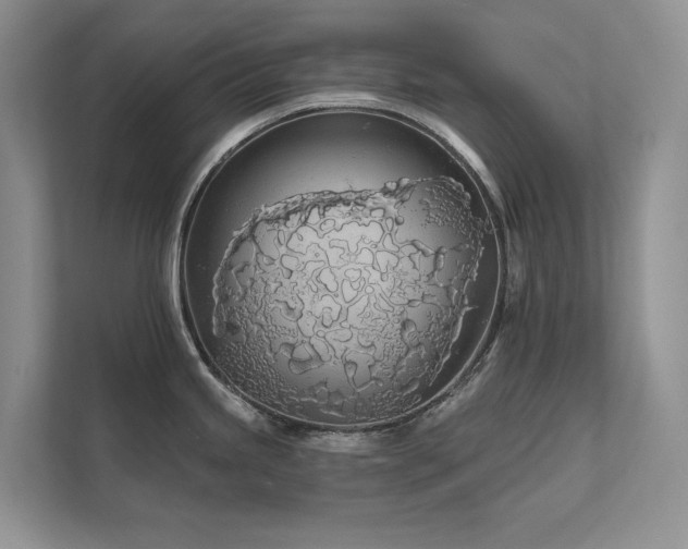 X0000111671245200907171607