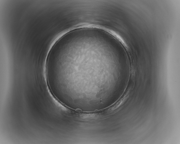 X0000111671247200907171607