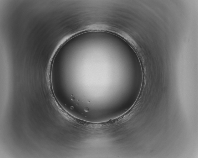 X0000111671248200907171607