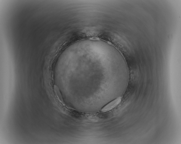 X0000111671249200907171606