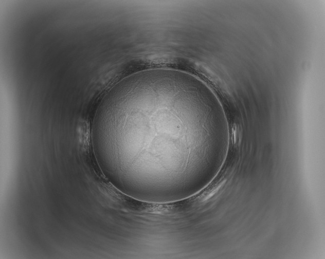 X0000111671251200907171606
