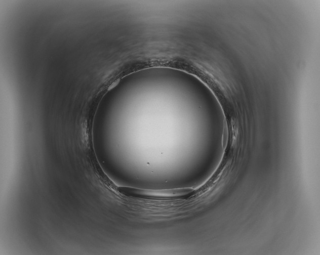 X0000111671252200907171606