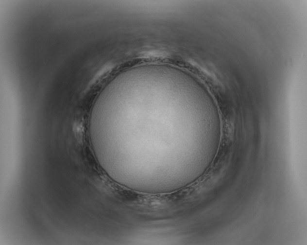 X0000111671254200907171606