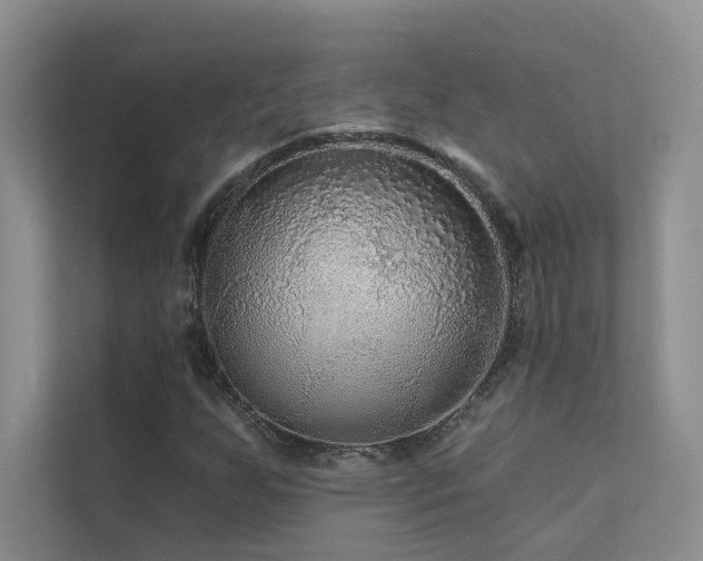 X0000111671255200907171606