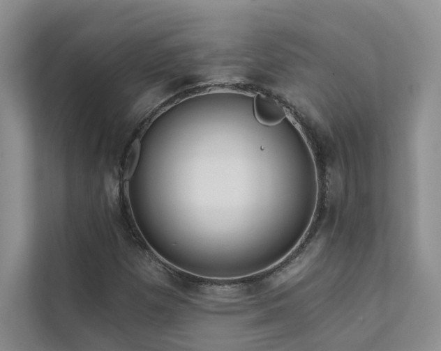 X0000111671257200907171606