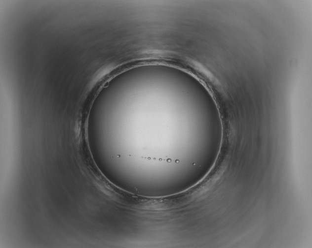 X0000111671259200907171606