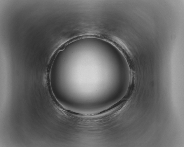 X0000111671260200907171606