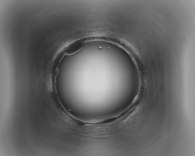 X0000111671262200907171606