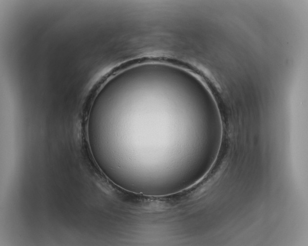 X0000111671263200907171606
