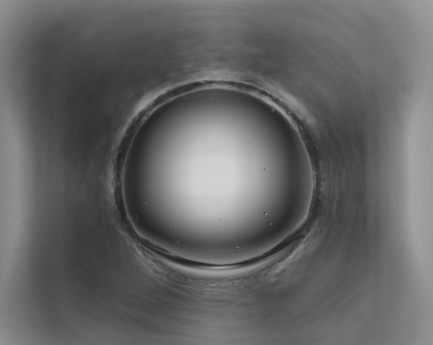 X0000111671264200907171606