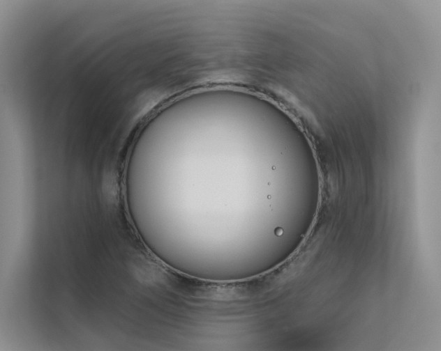 X0000111671266200907171606