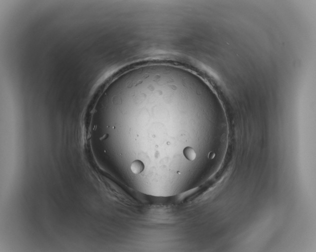 X0000111671267200907171606