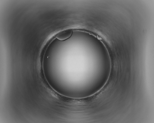 X0000111671270200907171606