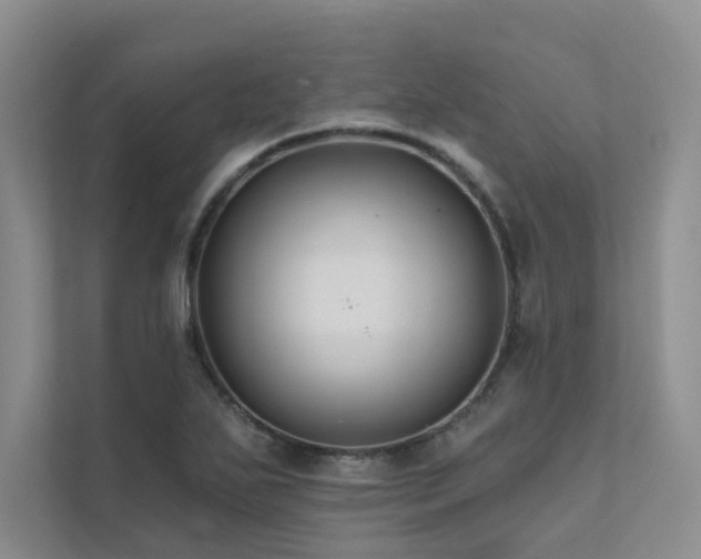 X0000111671271200907171606