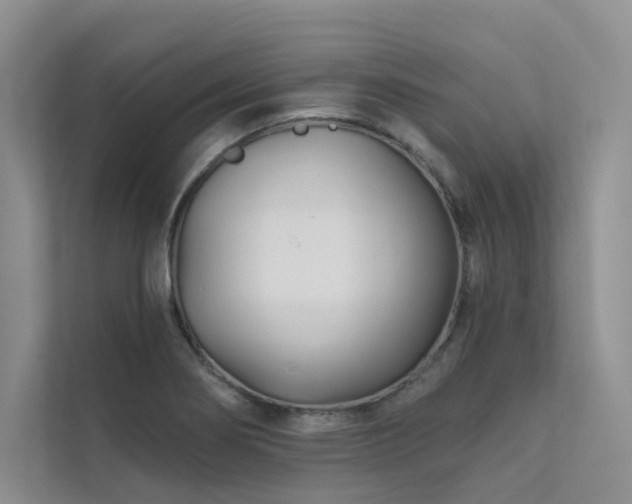 X0000111671274200907171606