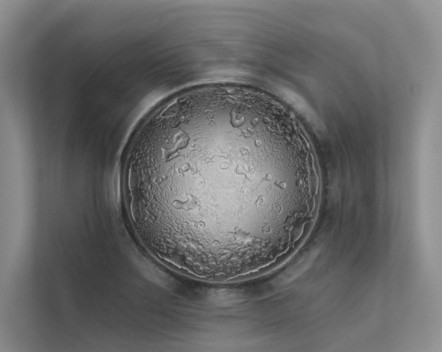 X0000111671275200907171606