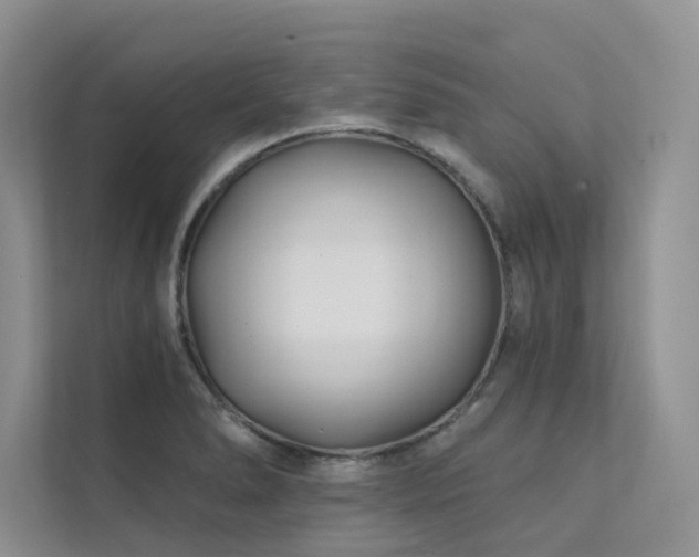 X0000111671278200907171606