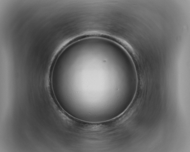X0000111671279200907171606