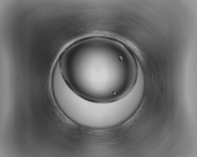 X0000111671280200907171606