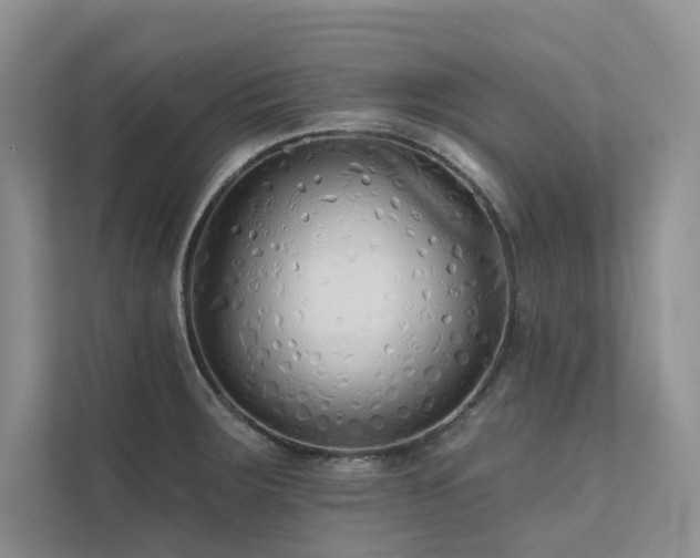 X0000111671283200907171606