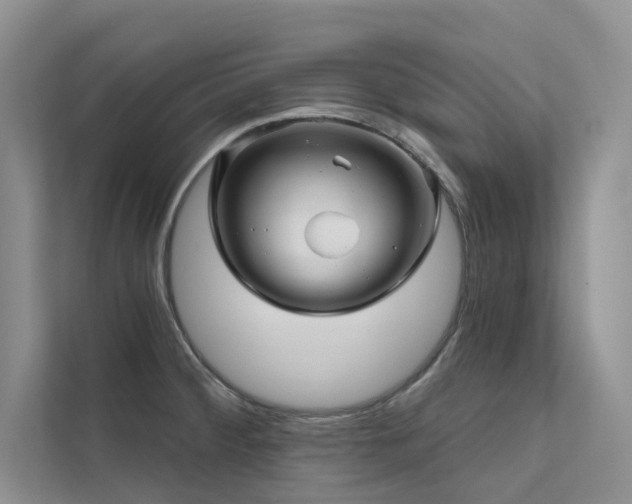 X0000111671284200907171606