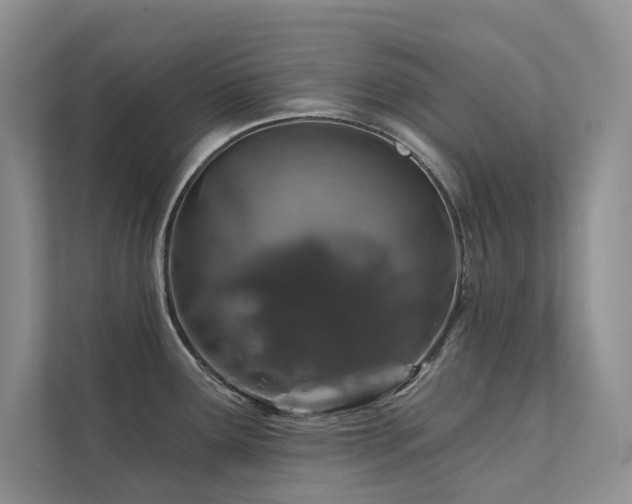 X0000111671291200907171606